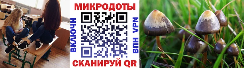 магазин продажи наркотиков  Горячий Ключ  Галлюциногенные грибы MAGIC MUSHROOMS 